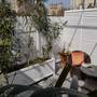 Горящие туры в отель Citrus Boutique Hotel - 4