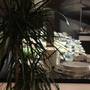 Горящие туры в отель Thousand Nights Hotel - 2