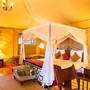 Горящие туры в отель Ngorongoro Forest Tented Lodge - 3