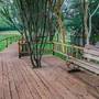 Горящие туры в отель Ngorongoro Forest Tented Lodge - 4