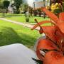 Горящие туры в отель Playa OnTime - 3