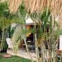 Горящие туры в отель Dolce Vita Caribe - 3