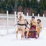 Горящие туры в отель Прованс отель 4 сезона - 3