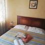 Горящие туры в отель Triasz Aparthotel - 5