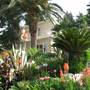 Горящие туры в отель Guest House Villa Nina - 1