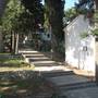 Горящие туры в отель Lumbarda Resort Apartment - 2