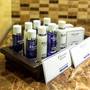 Горящие туры в отель Crowne Plaza Borjomi - 4