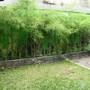 Горящие туры в отель Hostel Morotai Camp - 6