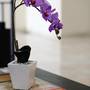 Горящие туры в отель Cameng Homestay - 4