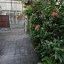 Горящие туры в отель Loven Sanur Guest House - 1