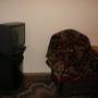 Горящие туры в отель Hotel Life - 3