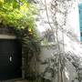 Горящие туры в отель Apartments Villa Dube - 3