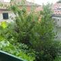 Горящие туры в отель Apartments Villa Dube - 4