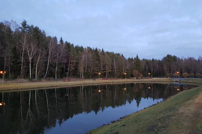 Алеся