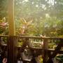 Горящие туры в отель The Lion House Jamaica - 3