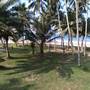 Горящие туры в отель Giragala Village Hotel - 2
