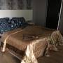 Горящие туры в отель Hotel Aisi - 5