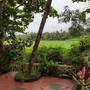 Горящие туры в отель Country View Cottage - 4