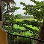 Горящие туры в отель Country View Cottage - 3