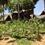 Горящие туры в отель Wind Blend Kite Resort - 6