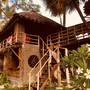 Горящие туры в отель Wind Blend Kite Resort - 1