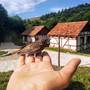 Горящие туры в отель Ecokayan Dilijan Resort Hotel - 6