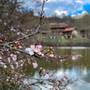 Горящие туры в отель Ecokayan Dilijan Resort Hotel - 2