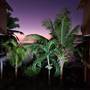 Горящие туры в отель Oceanica Resort Seychelles - 5