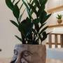 Горящие туры в отель Seagull Hotel and Apartments - 5