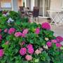 Горящие туры в отель Apartment Ljiljana - 2