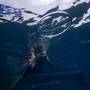 Горящие туры в отель Equa Reef Maldives - 6