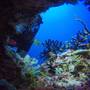 Горящие туры в отель Equa Reef Maldives - 2