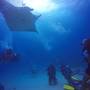 Горящие туры в отель Equa Reef Maldives - 3