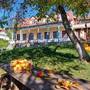 Горящие туры в отель Toon Armeni Guest House - 3