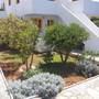 Горящие туры в отель Villa Sun Kiss Apartments - 5