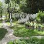 Горящие туры в отель Ece Hotel Bodrum - 1