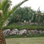 Горящие туры в отель Matzi Hotel Apartments - 6