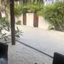 Горящие туры в отель Tropical Sands Kelaa - 5