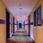 Горящие туры в отель Hive Hotel - 3