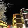 Горящие туры в отель Oylat Orman Otel - 2
