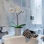 Горящие туры в отель Hotel Rex - 5