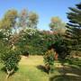 Горящие туры в отель Lito Beach Hotel, Gerani - 4