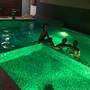 Горящие туры в отель Гостевой дом Parentes - 4