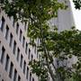 Горящие туры в отель Hilton Garden Inn Tbilisi Chavchavadze - 4