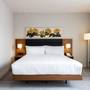 Горящие туры в отель Hilton Garden Inn Tbilisi Chavchavadze - 3