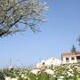 Горящие туры в отель Apartments Katoro Plava Laguna - 5