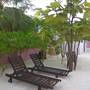 Горящие туры в отель Holiday Inn Veyvah Maldives - 1