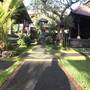 Горящие туры в отель Kubu Munggu Homestay - 5