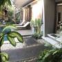 Горящие туры в отель Kubu Munggu Homestay - 2