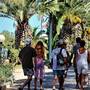 Горящие туры в отель Citta del Mare Hotel Village - 6